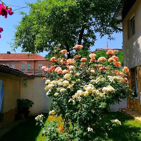 Guest house Modern&cozy Bosnian House With Garden+free Parking