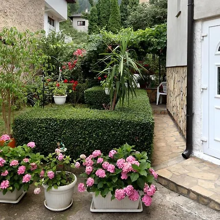 Modern&cozy Bosnian House With Garden+free Parking * Sarajevo