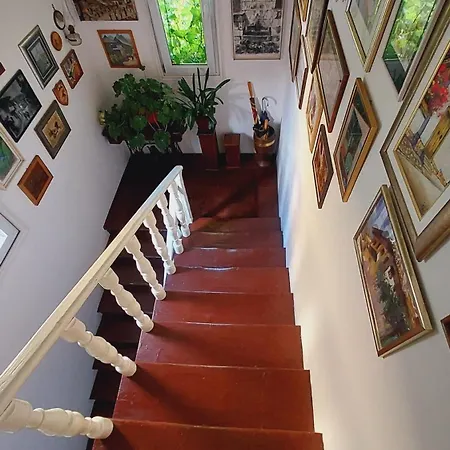 Guest house Modern&cozy Bosnian House With Garden+free Parking Sarajevo